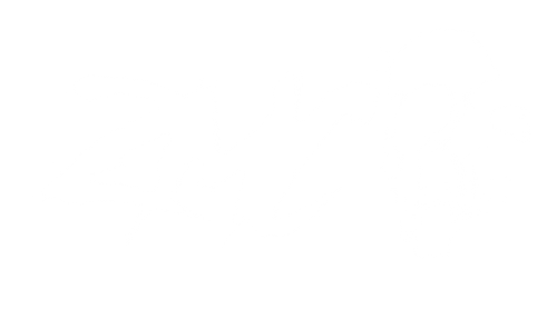 ZMC